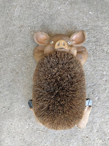 Schuhbürste schwein - schuhbürste,