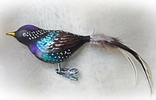 ❀ Star Glasvogel Lauscha