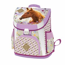 Pferde horse wild beauty - pferde,
