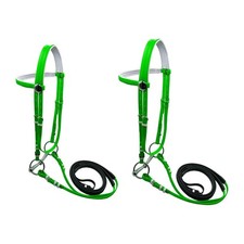 Pferdetrense mit Zügelhalfter