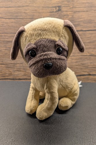 Mops tcc pets2cuddle - tcc,
