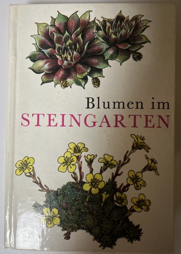 Blumen steingarten - blumen, im
