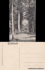 Ansichtskarte Eisenach Durchblick von der Hohensonne nach der Wartburg 1910