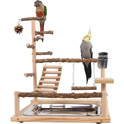 Vogel spielplatz mit - vogel-spielplatz, schaukel