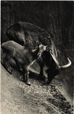 AK Paris Bois de Vincennes