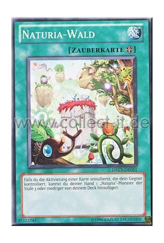 Drev de051 naturia - drev-de051,