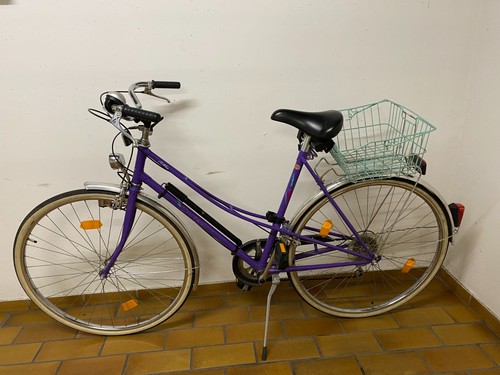 Vintage pegasus arktis - pegasus,