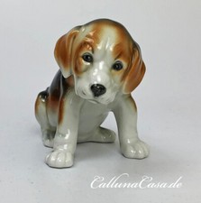 #11243 Beagle Hund Welpe