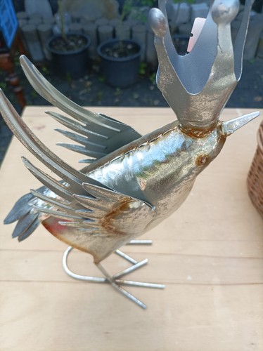 Vogelpärchen vogelpaar aus - vogelpärchen,