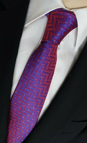 Neu extravagante herren - -,