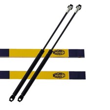 2x Gasfeder Dämpfer