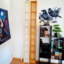 2 Ikea CD/DVD Regale inklusive