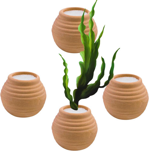 Sets wasserpflanzen fixed - 4,