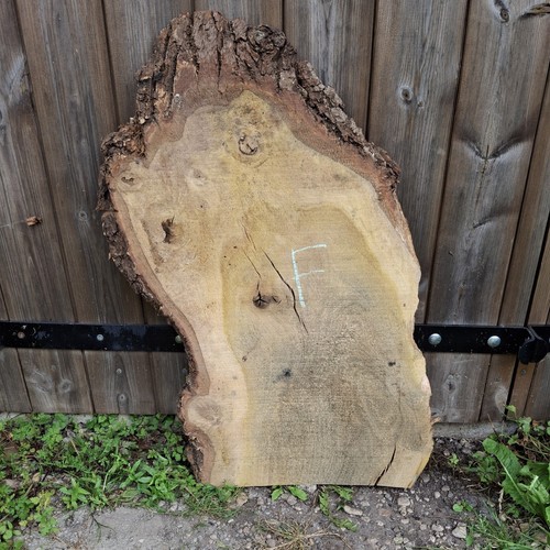 Eichenholz waney live edge - -,