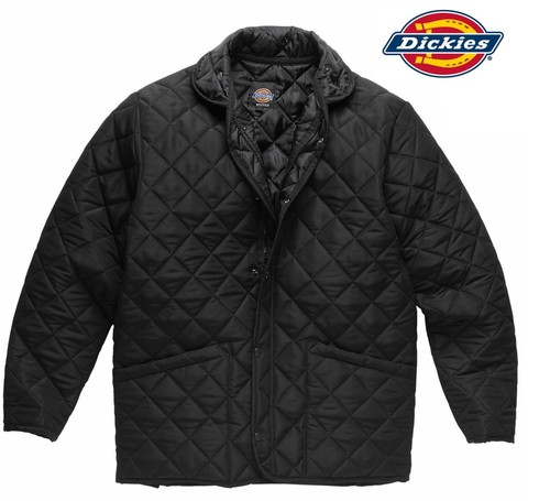 Herren dickies polden - dickies,