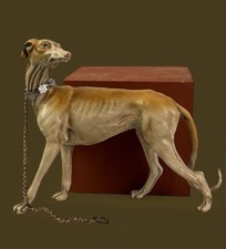 Oriental Windhund Tier Für