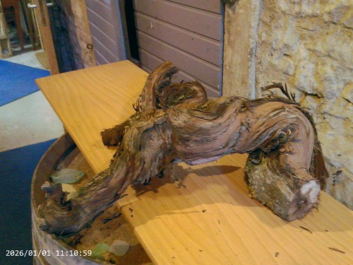 Weinstock herbstdeko holz - herbstdeko,