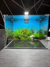Aquarium DENNERLE Nano Cube Complete, 60 L , LED Beleuchtung Chihiros C 361 inkl