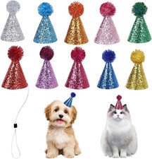 10 Hunde Katzen Partyhüte