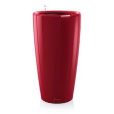 Lechuza rondo premium - lechuza,