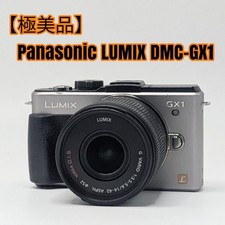 Panasonic LUMIX DMC-GX1