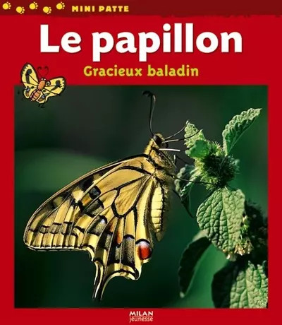 Papillon gracieux - le,