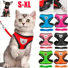 Haustier Katze Geschirr Weste