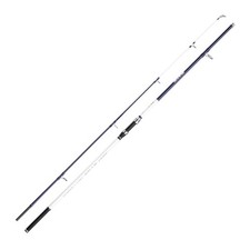 Shakespeare Salt Surf Pier