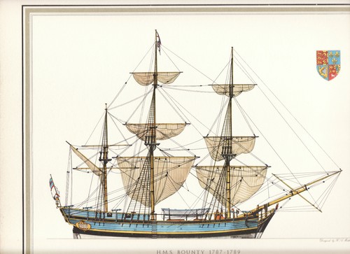 Hms bounty format klein - format,