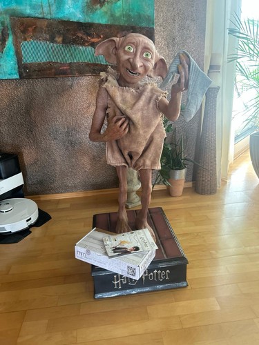 Harry potter dobby - harry,