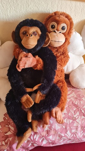 Ikea affe orang - orang, +