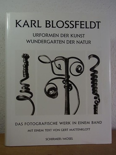 Karl blossfeldt urformen der - urformen,