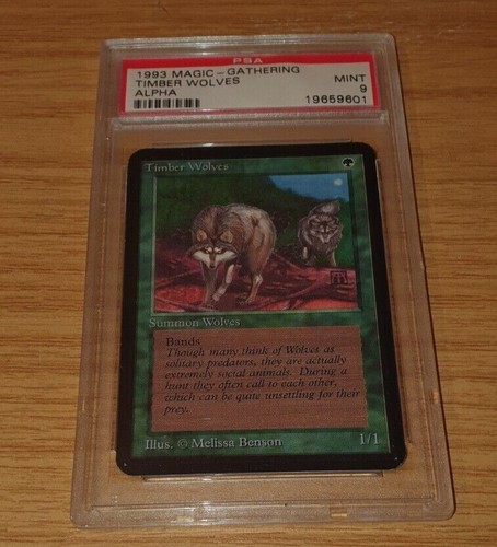 Timber wolves alpha - -, magic