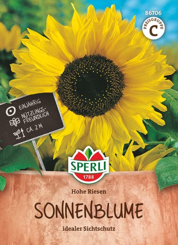 Sonnenblume hohe riesen samen - sonnenblume,