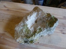 Quellstein Brunnenstein mit