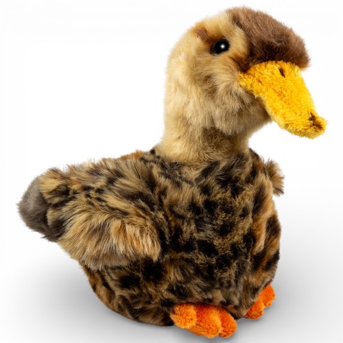Carl dick ente weibliche - dick, ente,
