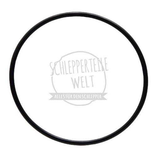 Dichtring zylinderdeckel - dichtring,