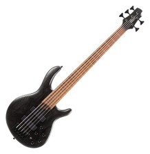 Stylischer 5-satiger E-Bass