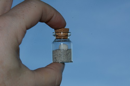 Schwamm strandsand in der - strandsand,