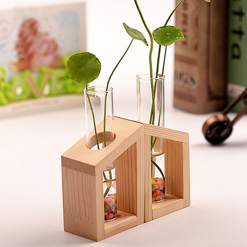 Flaschenvase hydroponische - ,