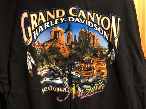Harley davidson shirt - harley, t-shirt