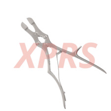Sauerbruch Corylos Bone