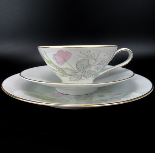 Rosenthal porzellan teegedeck - rosenthal,
