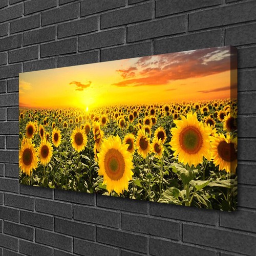 Leinwand bilder 100x50 - leinwand-bilder,