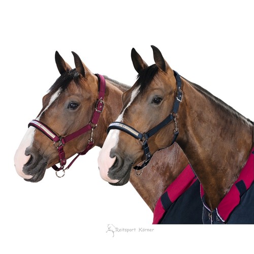Eskadron halfter mit doppel - eskadron,