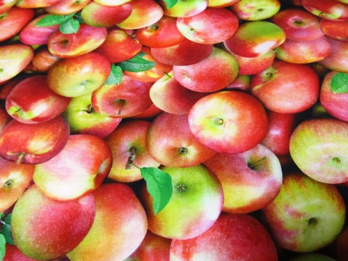 Apfel äpfel appel - apfel,