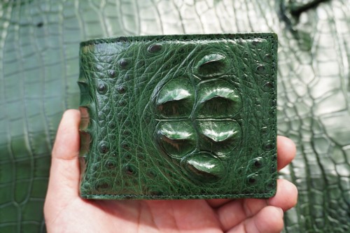 Green genuine head alligator - head,