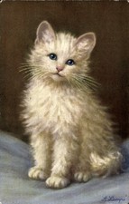 Künstler Ak Lampe, A., Weißes Katzenbaby mit blauen Augen - 4386428