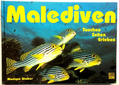 Malediven tauchen sehen - malediven,