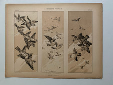 J.HABERT-DYS CHROMOLITHOGRAPHY